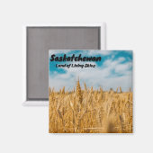Saskatchewan Wheat Field Magnet (Vorderseite/Rückseite)