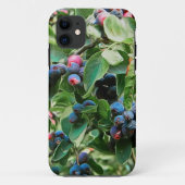 Saskatoon Case-Mate iPhone Hülle (Rückseite)