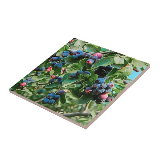 Saskatoon Fliese (Seite)