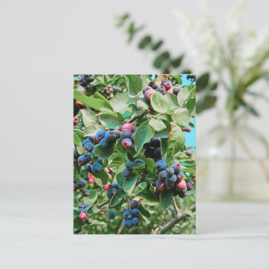 Saskatoon Postkarte (Stehend Vorderseite)