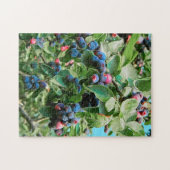 Saskatoon Puzzle (Horizontal)