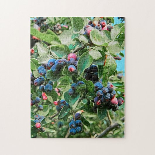 Saskatoon Puzzle (Vertikal)