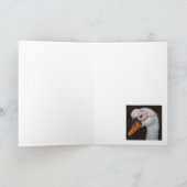 Saskia die Swan-Karte Karte (Innenseite)