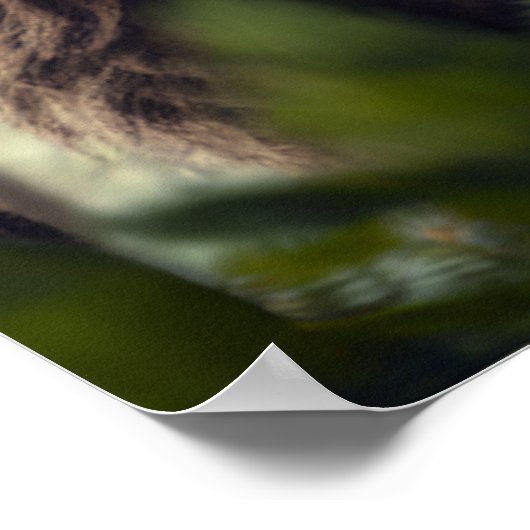 Sasquatch, Bigfoot, Fantasy Art, Urban Myth Poster (Ecke)