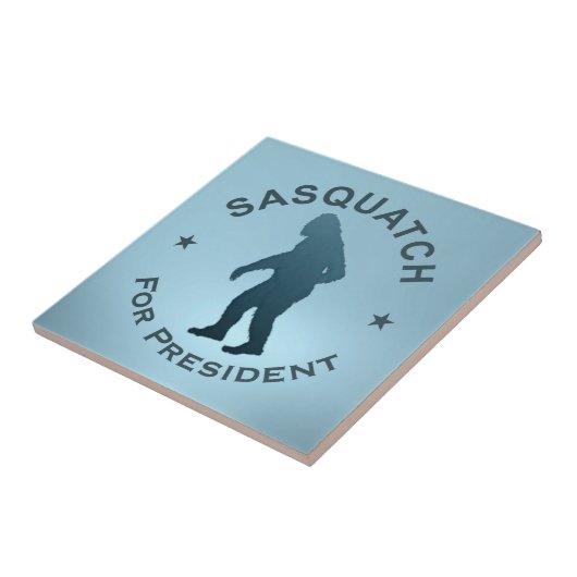 Sasquatch für den Präsidenten Fliese (Seite)