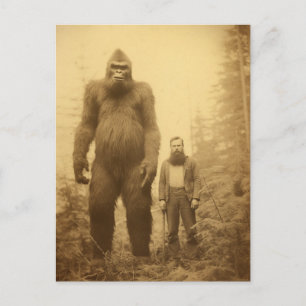 Sasquatch-Holzfäller-Postkarte Postkarte