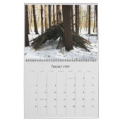 Sasquatch Structures Wall Calendar Kalender (Jan 2026)