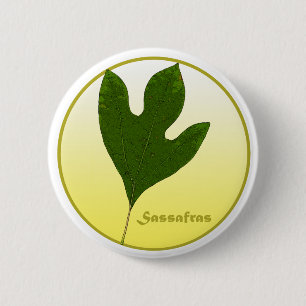 Sassafras Tree Button