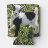 Sassy Black and White Nigerian Zwergziege Kid Dosenkühler (Rückseite)