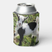 Sassy Black and White Nigerian Zwergziege Kid Dosenkühler (Kanne Rückseite)