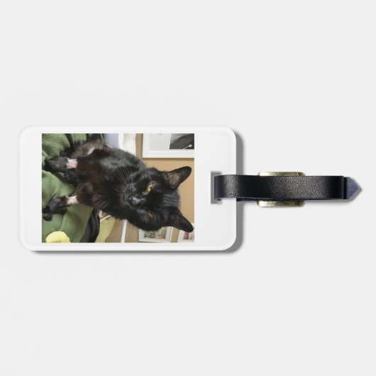 Sassy Cats Gepäckanhänger (Rückseite horizontal)