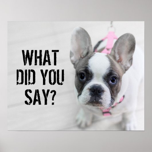 Sassy French Bulldog Poster (Vorne)