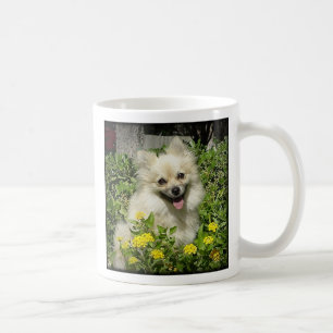 Sassy - Glück ist die Liebe von einem adoptierten Kaffeetasse