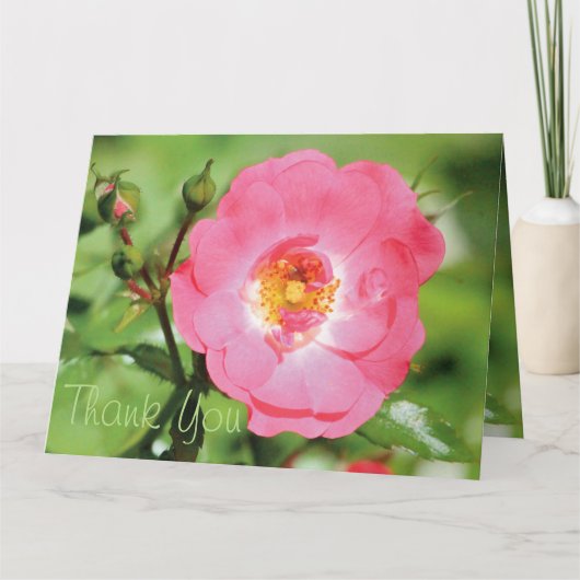 Sassy Pink Rose Vielen Dank Dankeskarte (Vorderseite)