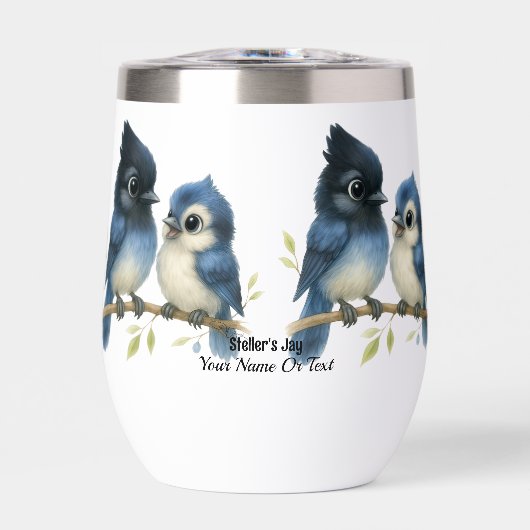 Sassy Steller-Jay (Vorderseite)