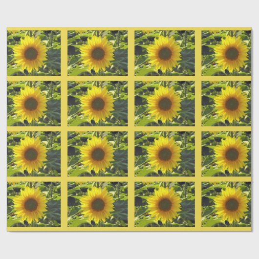 Sassy Summer Sunblumen Umschlagpapier Geschenkpapier (Flach)