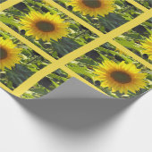 Sassy Summer Sunblumen Umschlagpapier Geschenkpapier (Ecke)
