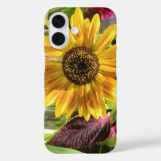 Sassy Sunflower iPhone Case (Rückseite)