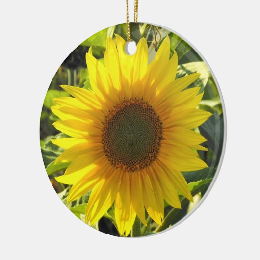 Sassy Sunflower Ornament (Links)