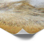 Sassydog-Poster Poster (Ecke)