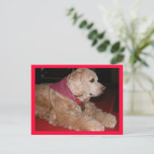 Sassygirl Postkarte (Stehend Vorderseite)