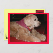 Sassygirl Postkarte (Vorne/Hinten)