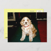 sassysassy postkarte (Vorne/Hinten)