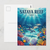 Sataya-Riff Ägypten Postkarte (Vorne/Hinten)