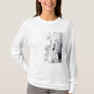 Satellitenansicht der Ostküste Grönlands T-Shirt