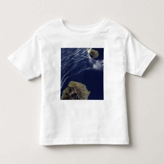 Satellitenansicht der Prinz-Edward-Inseln Kleinkind T-shirt (Vorderseite)