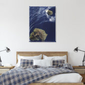 Satellitenansicht der Prinz-Edward-Inseln Leinwanddruck (Insitu (Schlafzimmer))
