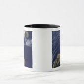 Satellitenansicht der Prinz-Edward-Inseln Tasse (Zentrum)