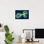 Satellitenansicht der Sandbank-Inselchen eines Fis Poster (Heimbüro)