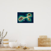 Satellitenansicht der Sandbank-Inselchen eines Fis Poster (Küche)