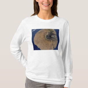 Satellitenansicht des Bergs Fogo T-Shirt