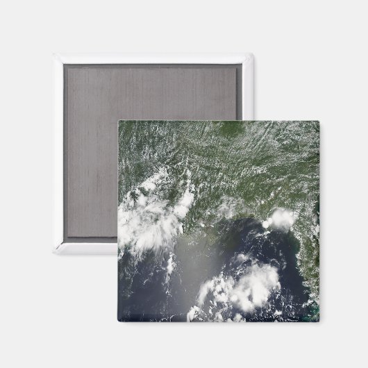 Satellitenansicht des Golfs von Mexiko Magnet (Vorderseite/Rückseite)