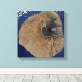 Satellitenansicht des Monte Fogo Leinwanddruck (Insitu (Holzboden))