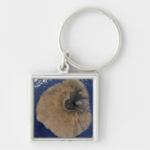 Satellitenansicht des Monte Fogo Schlüsselanhänger (Vorne)