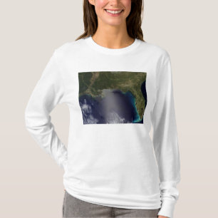 Satellitenansicht des südöstlichen vereinigten T-Shirt