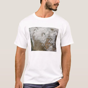 Satellitenansicht des Westerns Vereinigte Staaten T-Shirt