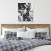 Satellitenansicht einer Aschenwolke Leinwanddruck (Insitu (Schlafzimmer))