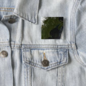 Satellitenansicht von New England Button (Beispiel)