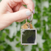 Satellitenansicht von New England Schlüsselanhänger (Hand)