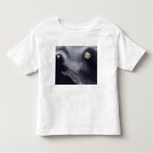 Satellitenbild der Insel Semisopochnoi Kleinkind T-shirt (Vorderseite)
