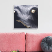 Satellitenbild der Insel Semisopochnoi Leinwanddruck (Insitu (Wohnzimmer))