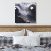 Satellitenbild der Insel Semisopochnoi Leinwanddruck (Insitu (Schlafzimmer))