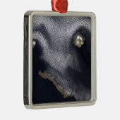 Satellitenbild der Insel Semisopochnoi Ornament Aus Metall (Rechts)