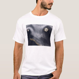 Satellitenbild der Insel Semisopochnoi T-Shirt