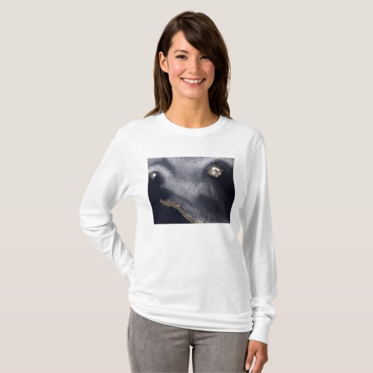 Satellitenbild der Insel Semisopochnoi T-Shirt (Vorne ganz)