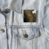Satellitenbild der Landschaft von Zentralmexiko Button (Beispiel)